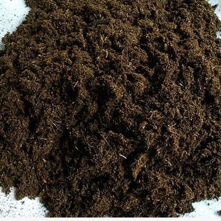 ɢ�b��̿��422����������ȫֲ��ͨ����10����