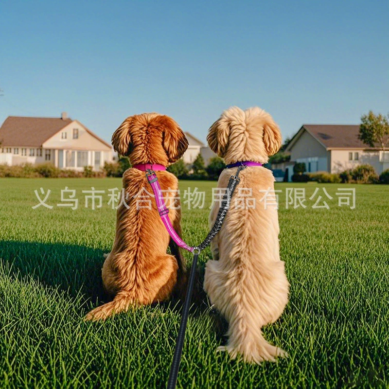 Трансграничная многофункциональная двойная собачья веревка, одна и две поводки для домашних животных