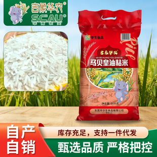 �F؛10kg������͸���������ʳС���ᭇ�����A�r�Rؐ����ճ�����l
