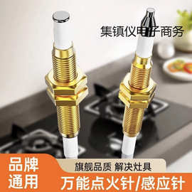 通用带线脉冲点火针燃气灶铜管点火针打火感应针嵌入式燃气灶具配