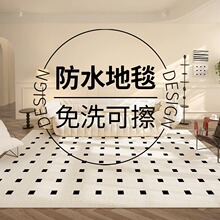 巴黎公寓客厅地毯新款法式地垫沙发轻奢高级感奶油风卧室床边毯