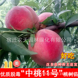 �޽����21̖��Ҙ�������̨�r2̖�Ҙ������Ա��Ϸ��Nֲ����Y��