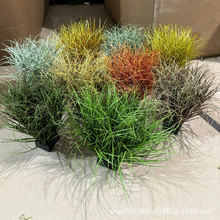 ��������Ѳ��b[�� ���JȔ��z̦�ݼ��~�ݶ��ľ���쾰�M��