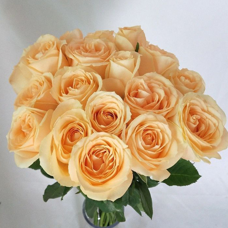 玫瑰花鲜花云南昆地批直发百合向日葵红豆家用鲜切水养插绢花|undefined