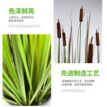 �|�����Ѳݷ��滨  ����ֲ��پGֲ�쾰Ժ�ӻ��@�b���ˮϞ�T