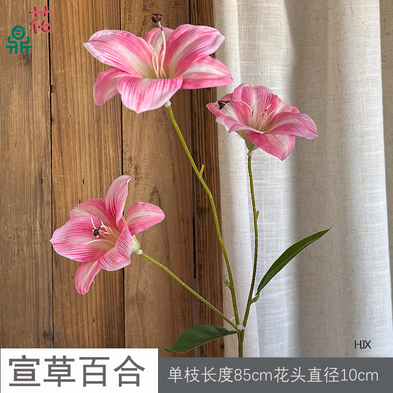 Xuancao Lily HJX 핑크