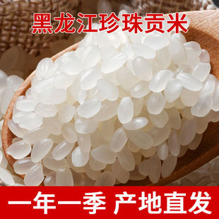 ���ז|������������ؕ��10��20�b�����������������l�r���l