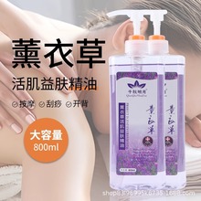 ޹²ȫĦƱͨj_Ժùw͏S