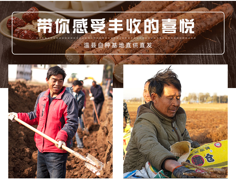 Fresh Wenxian Iron Stick Yam Chinese Yam Huai Shan 500g Henan Jiaozuo Origin overview