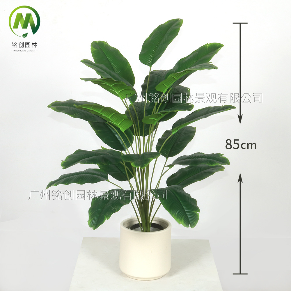 Árbol de simulación transfronterizo, plátano viajero, planta en maceta, nueva planta de simulación, pájaro del paraíso, planta verde de simulación de hoja grande, plátano viajero