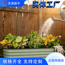 ���ٷNֲ�����̨ͥԺ�N�˷N���� �����͕� ���W�L��