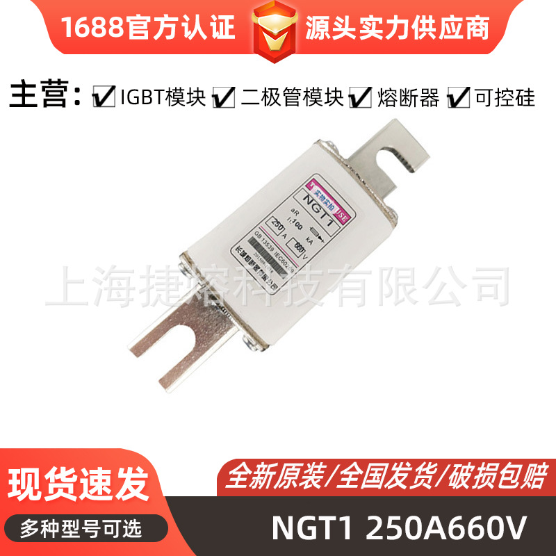 NGT1  250A660V  快速熔断器 保险丝 全新原装 库存充足