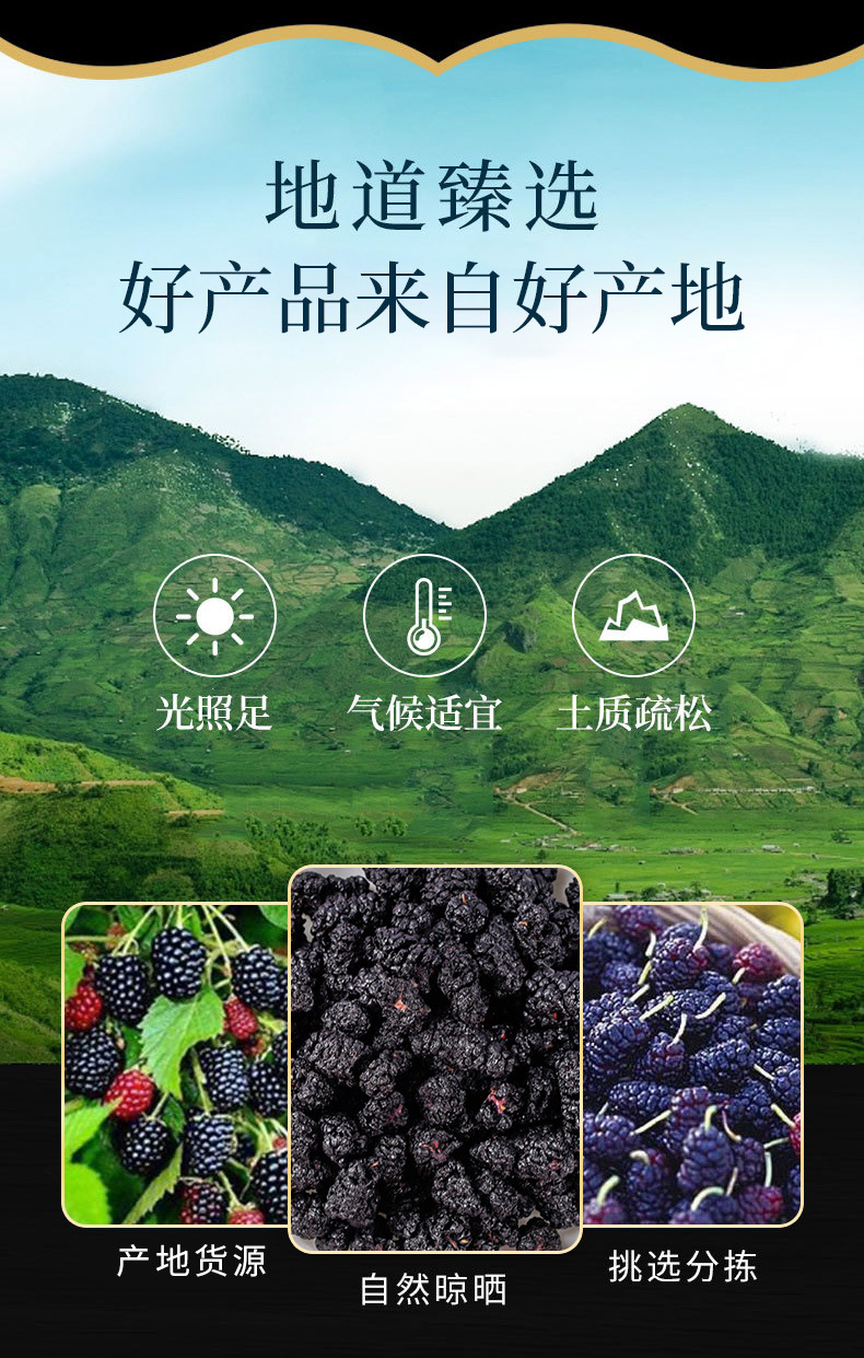 Mulberry Powder (Morus nigra) — Black Mulberry Fruit Powder, Food-Herb Botanical Drink Mix overview