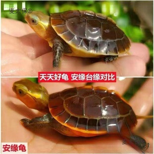 �S�������w�����]�������ϰ���̨����ꑾ��ܾ����������ͷ���̫��