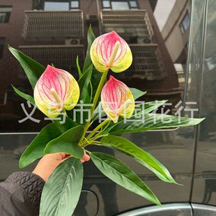 ����Gֲ����t��3D��ӡ�ָ�һ���L��҃����bt�Z�ƻ��Q�����T