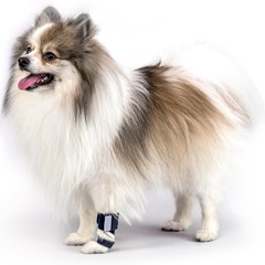クロスボーダーの人気ペット保護具犬の足の保護犬の後の足の怪我の補助ベルトはサポート条の犬の足の保護カバーを含みます。