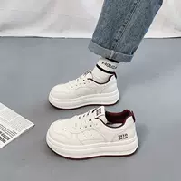 Small white shoes, footwear, high universal sneakers platform for leisure, 2025 years, trend of season