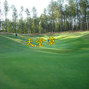 ���òݷN�ӵͰ��Ͳ�ƺ�� ���`̤��С�^���@ͥԺ�G�����Ѳ�ƺ�N��