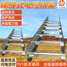 梯级式电缆桥架 梯式电缆桥架 承载能力强200*100电力用电缆桥架