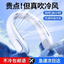 2024�¿�첱С�L��������i�첱�ӿ��{���ܰ댧�w����С�ͱ��ʽ