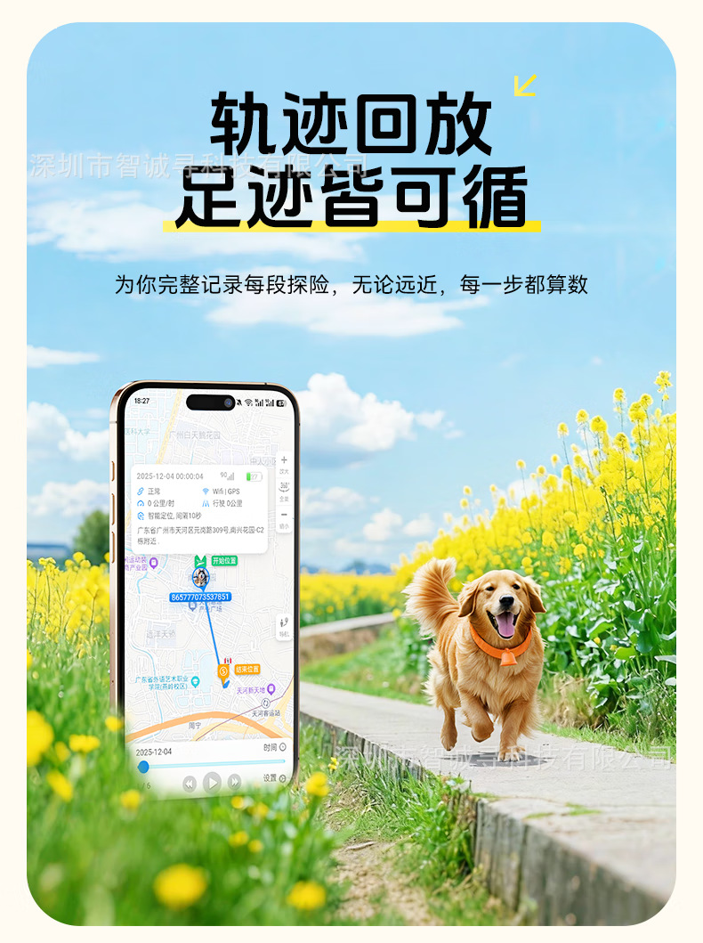 5G pet tracking device GPS locator for cats and dogs, real-time animal positioning electronic smart collar, anti-lost device