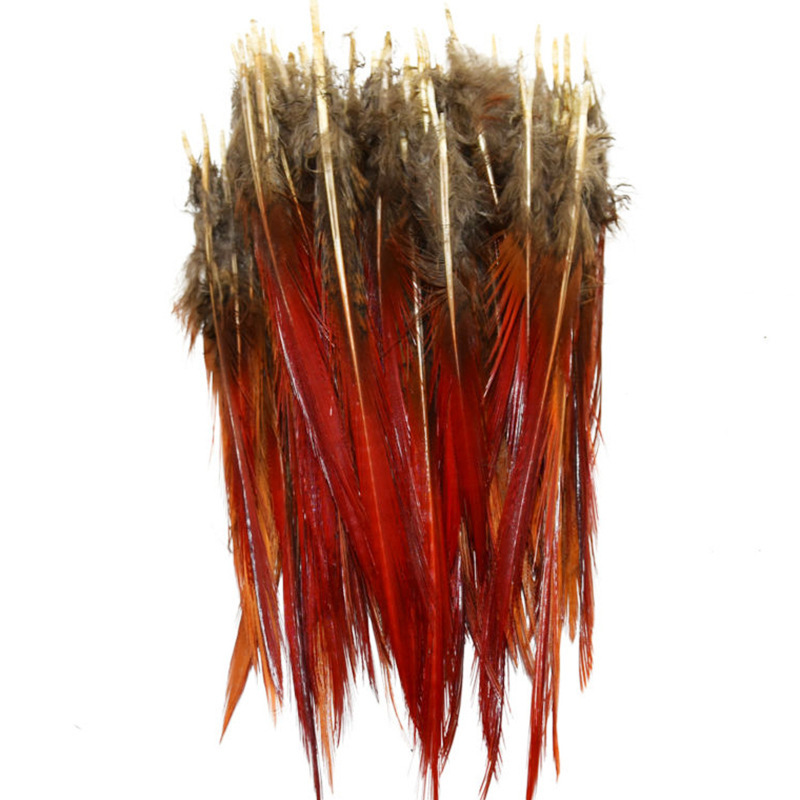 9076801808_124044218