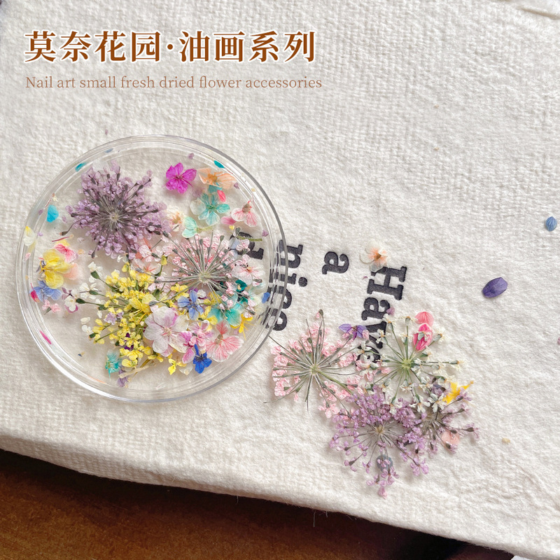 Nail Art Dried Flowers Ins-Style Mixed Color Dopamine Oil Painting Five-Petal Flowers Natural Small Floral Gypsophila Nail Decorations