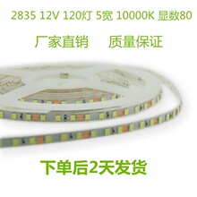 �͉���2835LED120��12V�׹�10000K�b�����CRI80 5���׌���F؛
