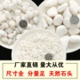 白沙山水日式庭院白石子