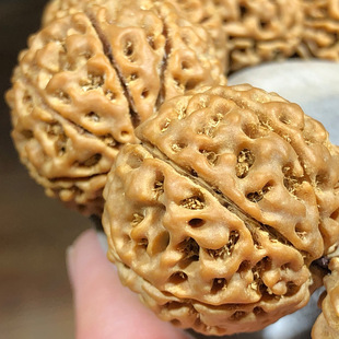 ԭ�Ѵ���������ִ�����S�tƤ�M��6����7�߰�8�˰�9�Ű���������