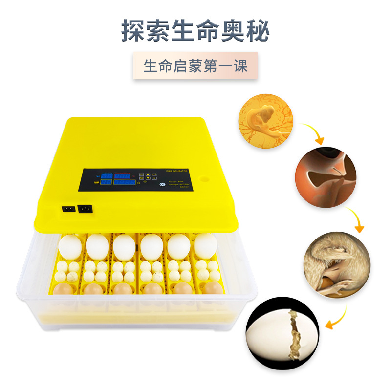 36 unidades inteligente incubadora de temperatura constante pollo pato codorniz pájaro huevo pequeño hogar incubadora mini incubadora automática