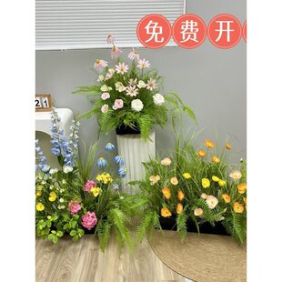���쾰��ֲ�ﻨ�Ż����b��ྰ�^�҃���W�t�Ĕz�������Ż�