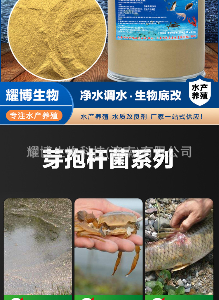 烟台生物科技公司如何选？一文读懂本地生物技术研发与产业化的关键逻辑