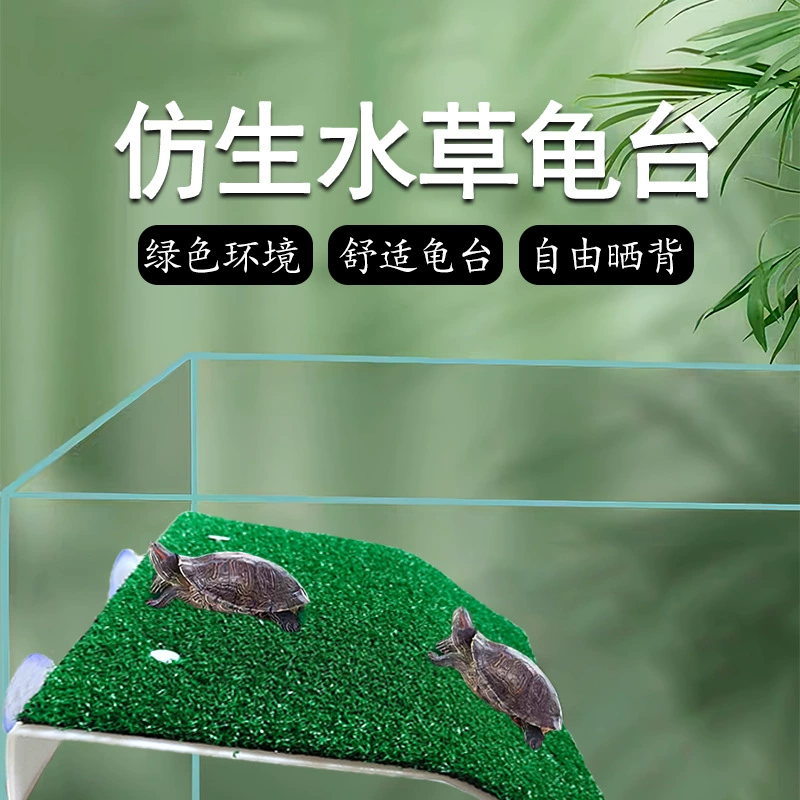 Черепаха на платформе для скалолазания на платформе