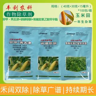 ���|���z4̖500��/������&middot;ݬȥ��+�ȷ��������ᮐ����+���ǲ�ͪ