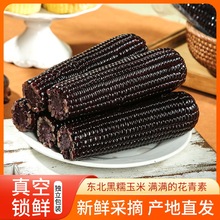 �|���L��ɽ��Ŵ��������r���׮���������Ŵ���װ��������װ���