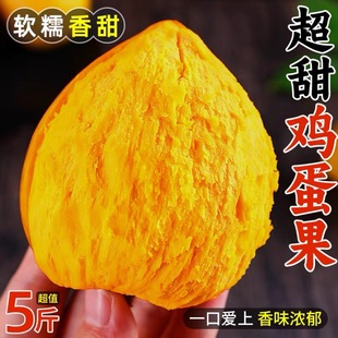 �F؛�ٰl�u�������r���ϵ��S��5�ﮔ��ˮ���ЋD�Ꭷ����ˮ��