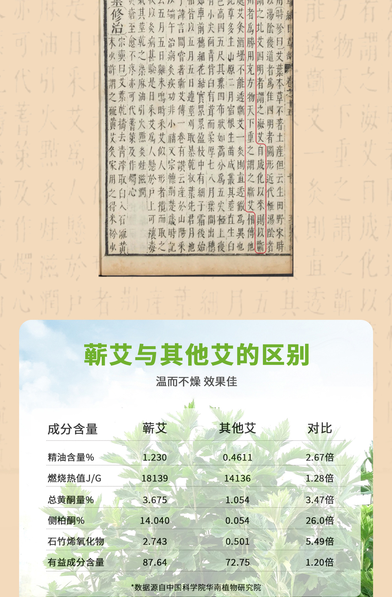 Moxa Essential Oil Warming Patch Ai Ai Jiu Moxibustion Sticker Self Heating Abdominal Body Care specifications