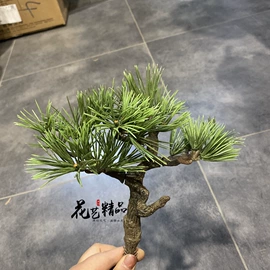 仿真绿植;仿真花;植物工艺品