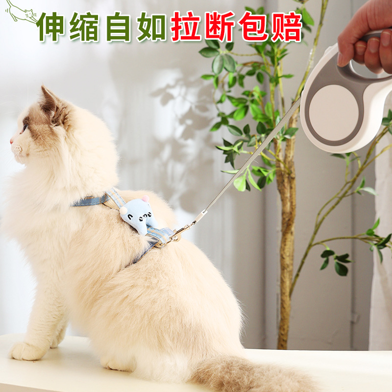 Cuerdas de tracción para perros y gatos automáticamente retráctiles para caminar con cuerda para perros, artefactos de excursión para perros pequeños Teddy Corky