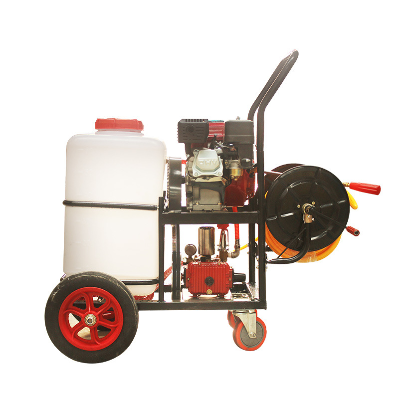 ���ƻ���������ȫ�»�60���̻�����ƺС������ɱ����ϴ��ֳ��ʹ��