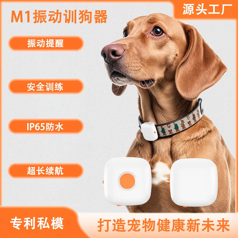 Choker for training, Amazon, (Cross-border trading), wholesale