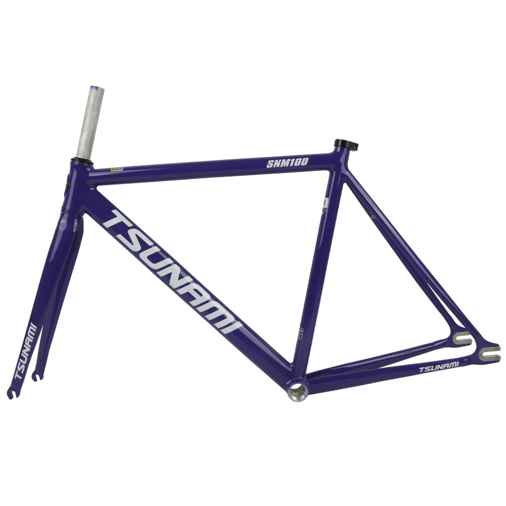 TSUNAMI Tsunami Summy SNM100 Pioneer Dead Flying Aluminum Alloy Racing Site Bicycle frame