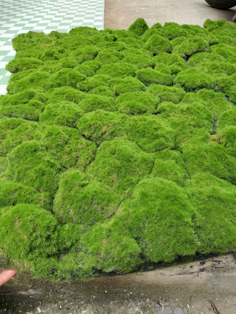 QQ图片20220701141711_副本