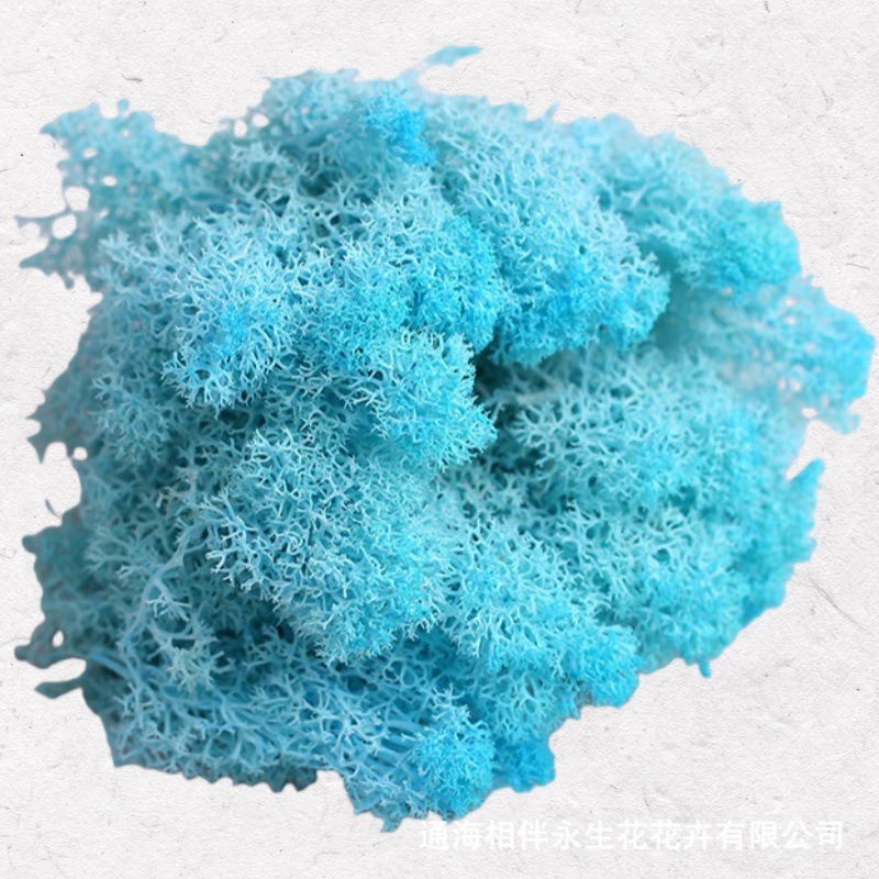 Light Tiffany Blue·Eternal Moss