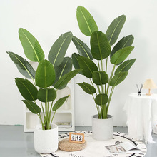 ͱWֲ˽҃bB٘Gֲ辰E18