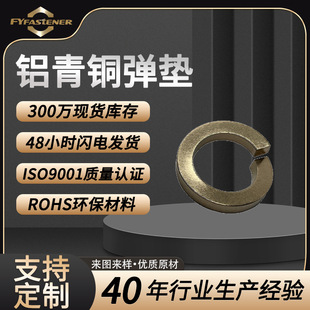 QAl9-2�X���~���| GB93�~���ɉ|Ȧ  �ɶ���DIN127 C63000���ɉ|Ƭ