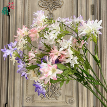 7�^�m�� ���m�L⏻� �鼆Ӱ���Ĕz���߷��滨 ����d���T�����ٻ�