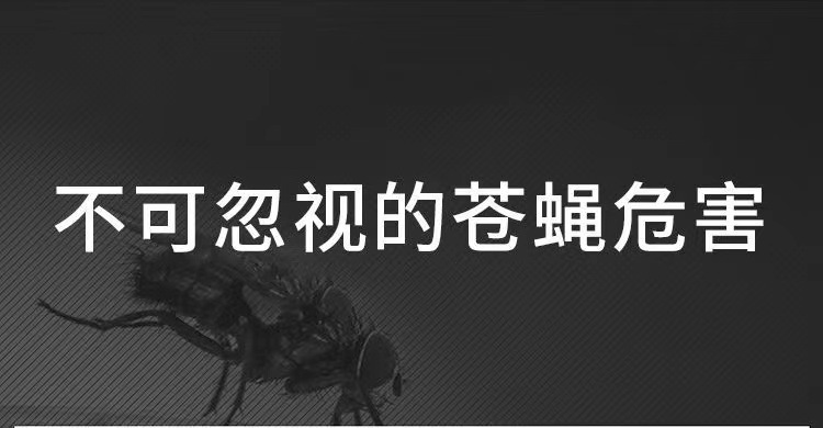 O1CN01ss77CO2CoDLORsz48_!!9705