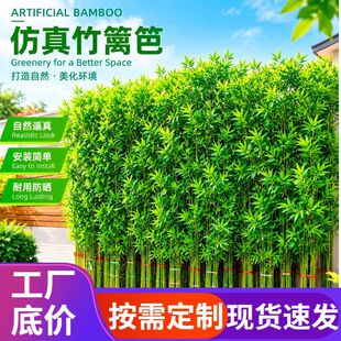 ���������҃������b������L�����ӓ����쾰ë��Gֲ���Լ�ˮ��